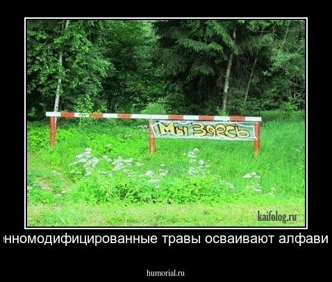 Генномодифицированные травы осваивают алфавит.