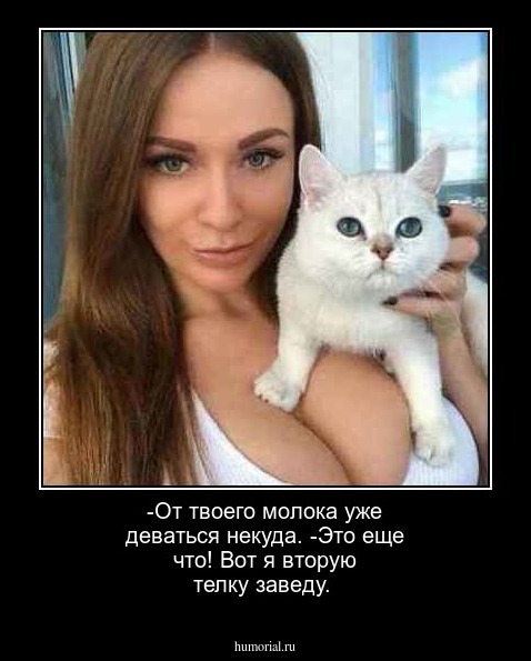 -От твоего молока уже деваться некуда.
-Это еще что! Вот я вторую телку заведу.