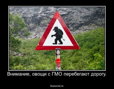 Внимание, овощи с ГМО перебегают дорогу.