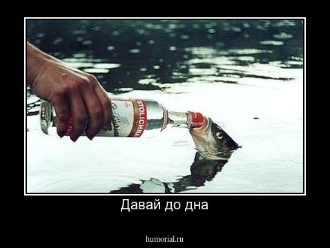 Давай до дна
