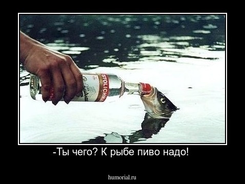 -Ты чего? К рыбе пиво надо! 