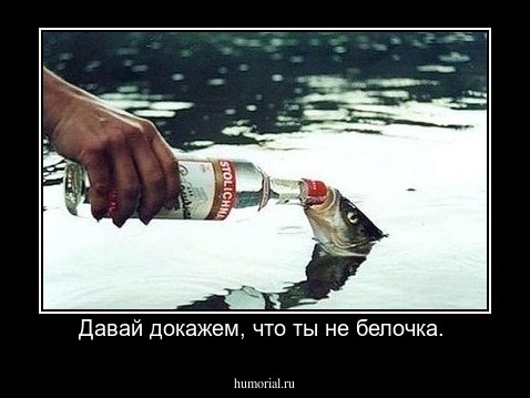 Давай докажем, что ты не белочка. 
