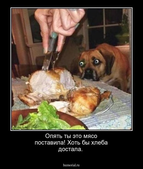 Опять ты это мясо поставила! Хоть бы хлеба достала.