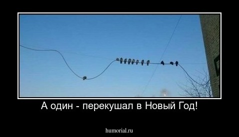  А один - перекушал в Новый Год!