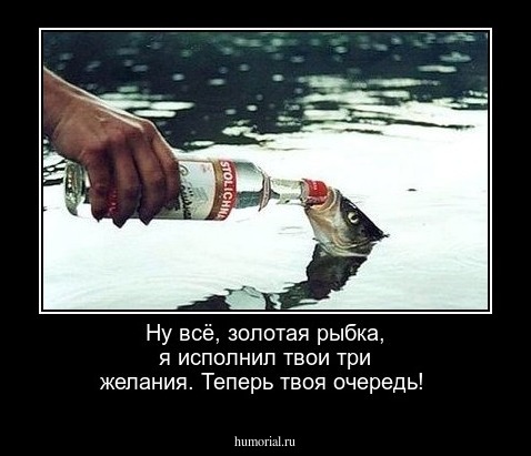 Ну всё, золотая рыбка, я исполнил твои три желания. Теперь твоя очередь!