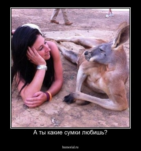 А ты какие сумки любишь?