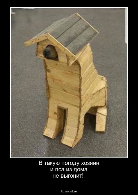 В такую погоду хозяин и пса из дома не выгонит!