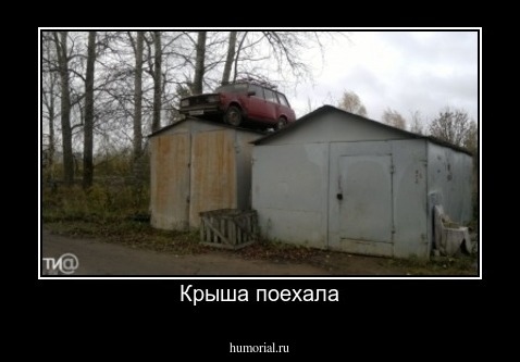 Крыша поехала