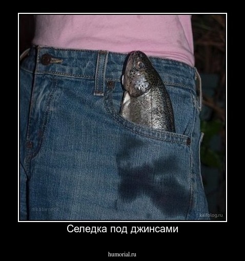 Селедка под джинсами