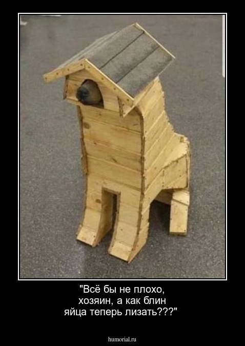 "Всё бы не плохо, хозяин,  а как блин яйца теперь лизать???" 