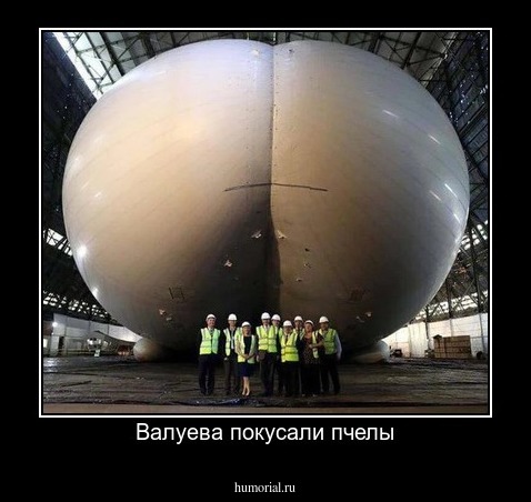 Валуева покусали пчелы