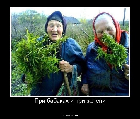 При бабаках и при зелени