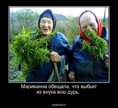 Мариванна обещала, что выбьет из внука всю дурь.