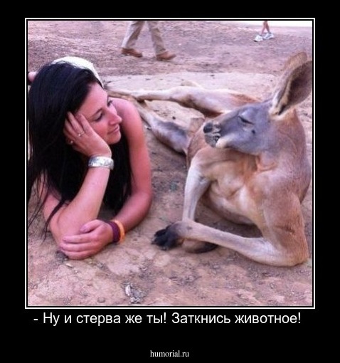 - Ну и стерва же ты! Заткнись животное! 
