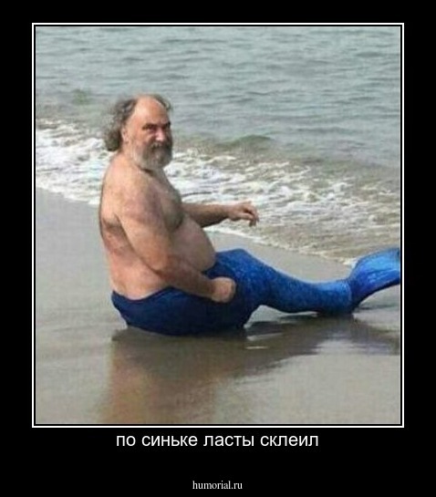 по синьке ласты склеил