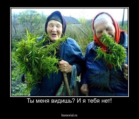 Ты меня видишь? И я тебя нет!