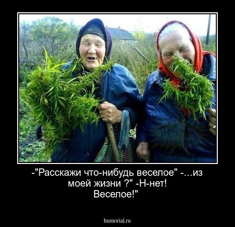 -"Расскажи что-нибудь веселое"
-...из моей жизни ?"
-Н-нет! Веселое!"