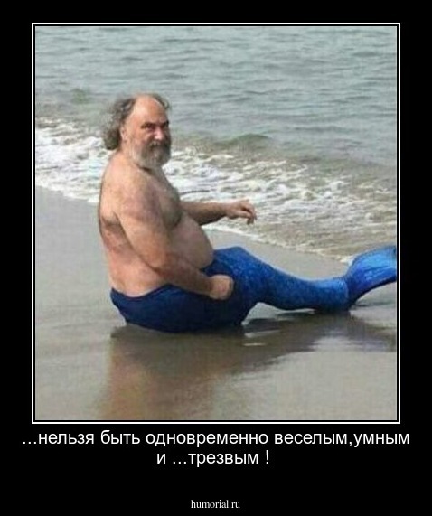 ...нельзя быть одновременно веселым,умным и ...трезвым !