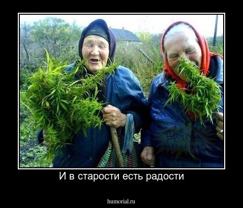 И в старости есть радости