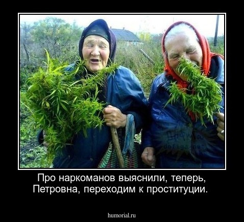 Про наркоманов выяснили, теперь, Петровна, переходим к проституции.