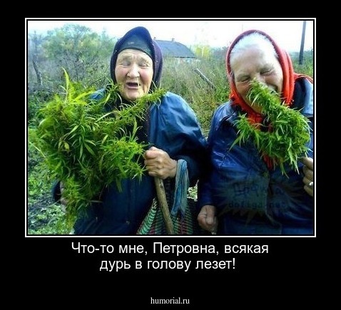 Что-то мне, Петровна, всякая дурь в голову лезет!