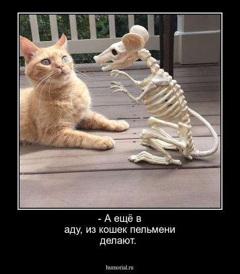 
- А ещё в аду, из кошек пельмени делают. 