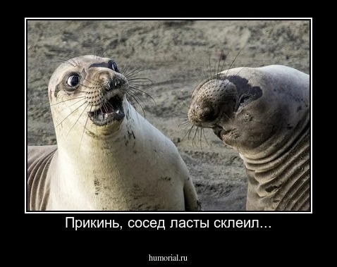 Прикинь, сосед ласты склеил...