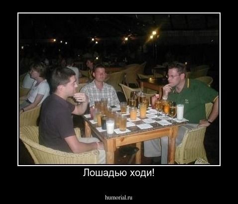 Лошадью ходи!