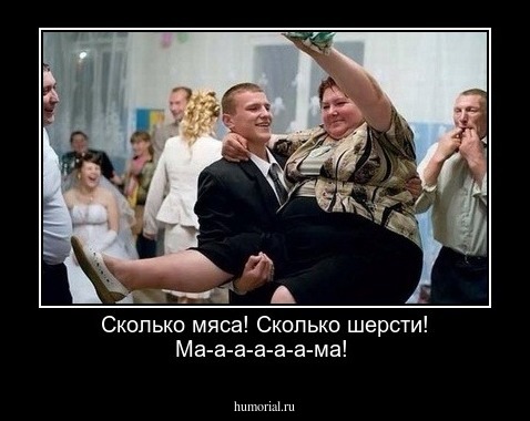 Сколько мяса! Сколько шерсти! Ма-а-а-а-а-а-ма!