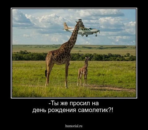 -Ты же просил на день рождения самолетик?!