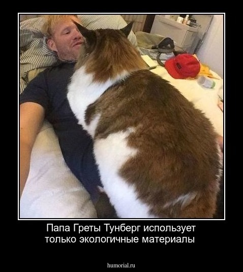 Папа Греты Тунберг использует только экологичные материалы