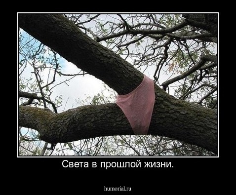 Света в прошлой жизни.