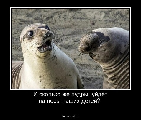 И сколько-же пудры, уйдёт на носы наших детей?
