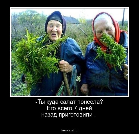 -Ты куда салат понесла? Его всего 7 дней назад приготовили .