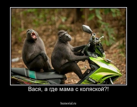 Вася, а где мама с коляской?!