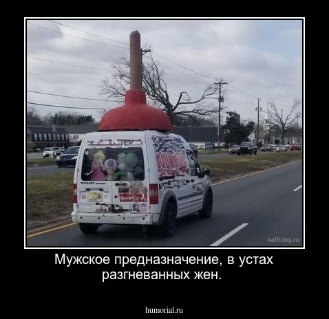 Мужское предназначение, в устах разгневанных жен.  