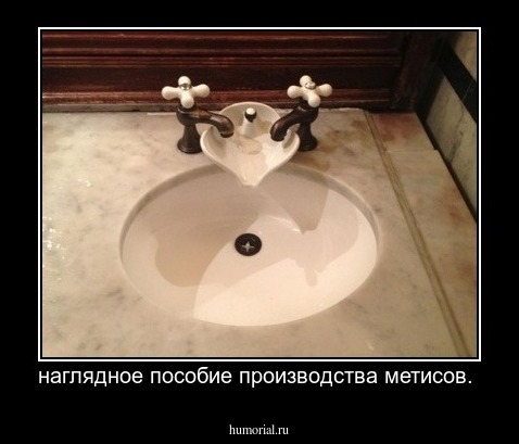 наглядное пособие производства  метисов. 