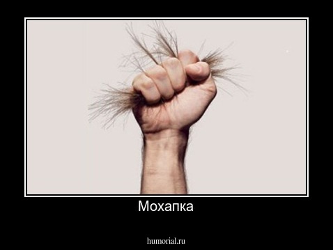 Мохапка