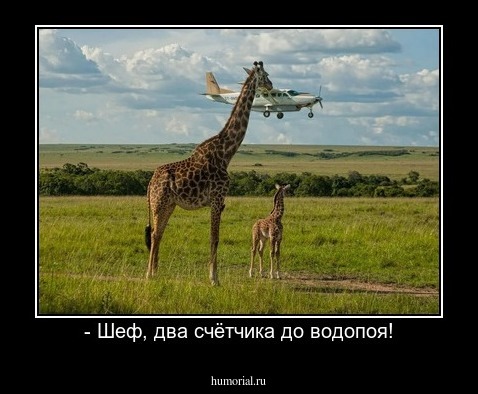 - Шеф, два счётчика до водопоя!
