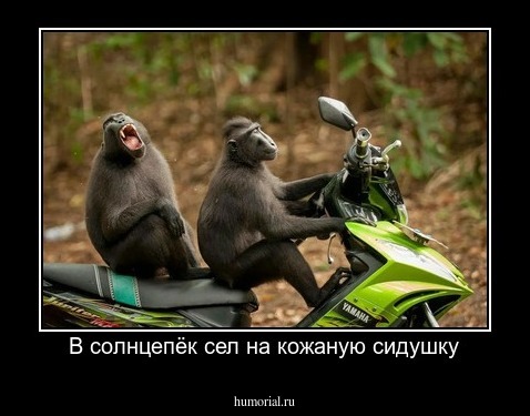 В солнцепёк сел на кожаную сидушку