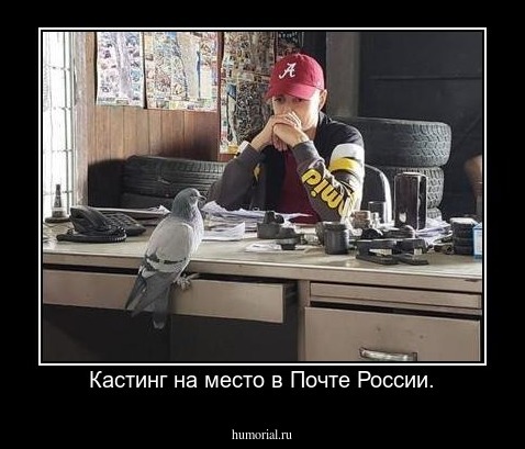 Кастинг на место в Почте России.