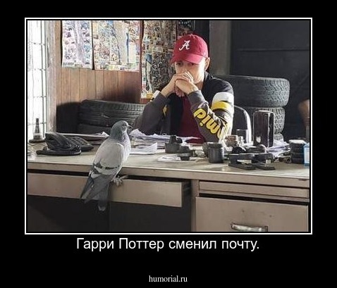 Гарри Поттер сменил почту.