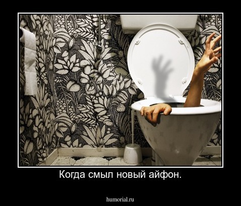 Когда смыл новый айфон.