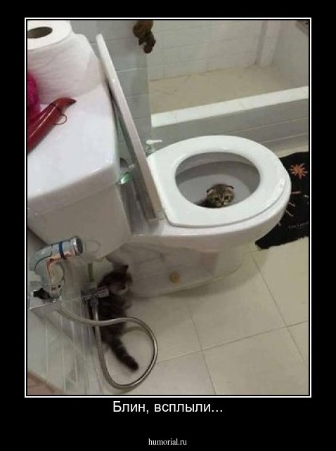 Блин, всплыли...