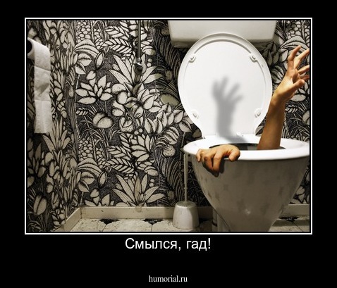 Смылся, гад!