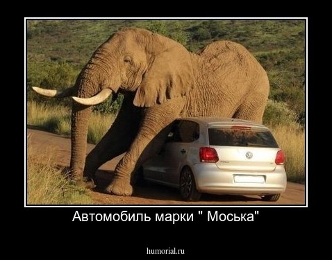 Автомобиль марки " Моська"