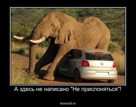А здесь не написано "Не прислоняться"!