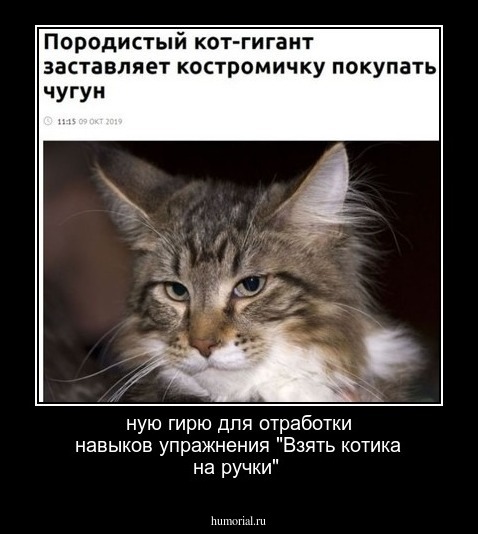 ную гирю для отработки навыков упражнения "Взять котика на ручки"