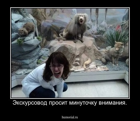 Экскурсовод просит минуточку внимания.