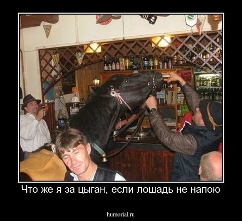 Что же я за цыган, если лошадь не напою